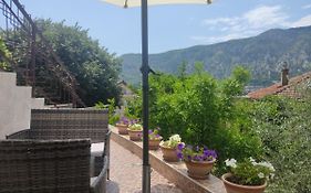 Apartments Feniks